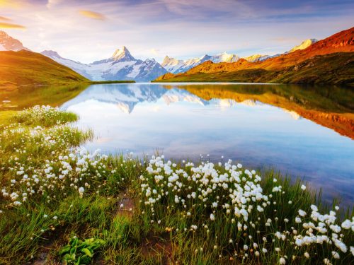 Picturesque view of the Schreckhorn and Wetterhorn mountains. Location place Bachalpsee in Swiss alps, Switzerland, Grindelwald valley, Europe. Idyllic natural wallpaper. Discover the beauty of earth.