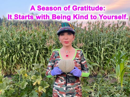 season of Gratitude